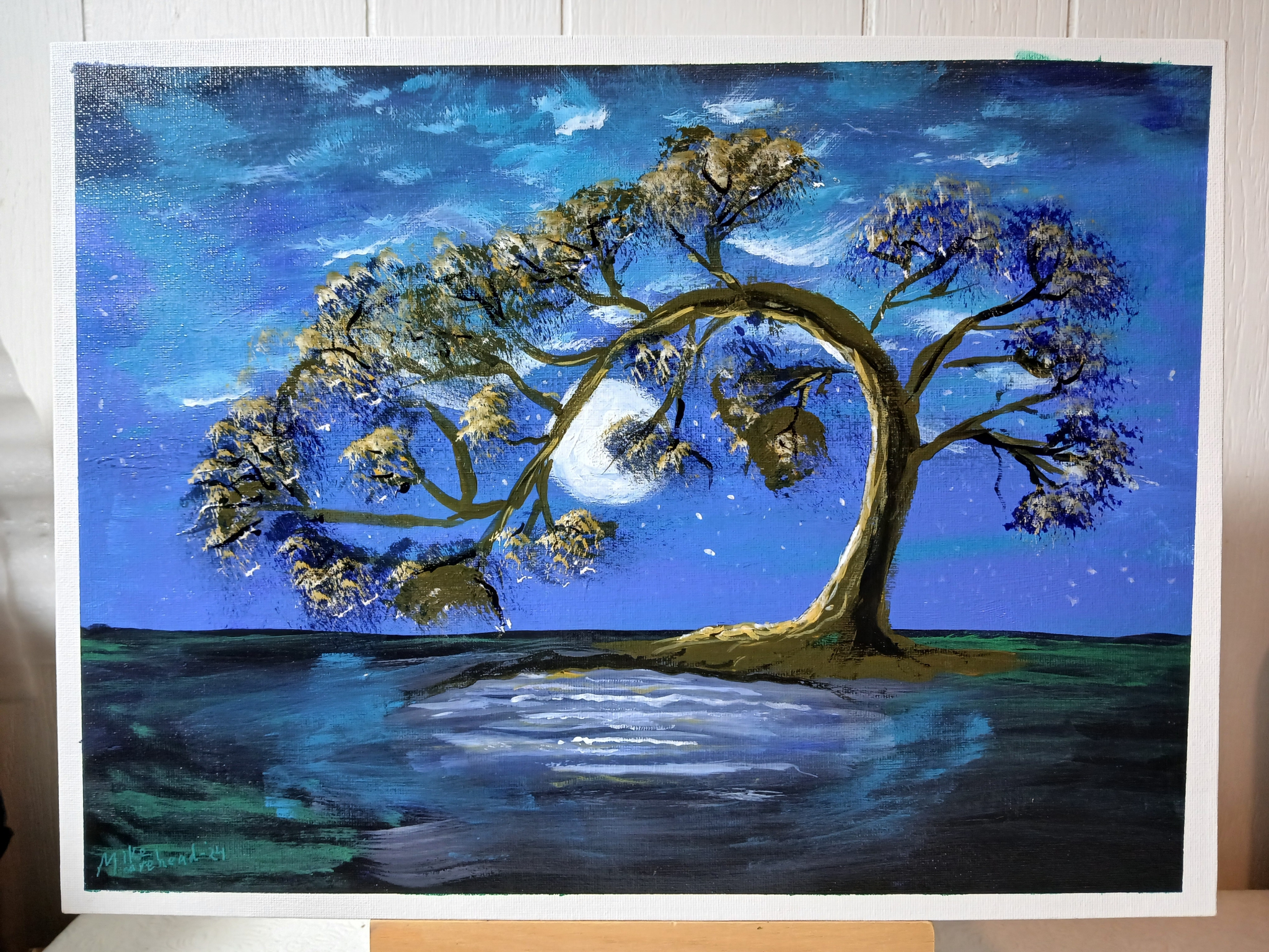 Moonlit Pond by Mike R Murehead