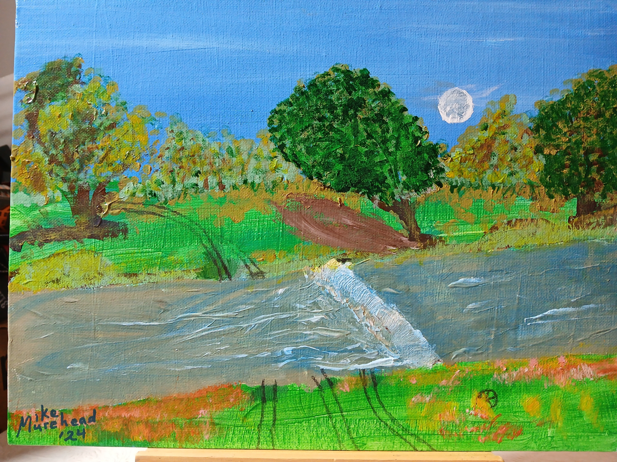 Salado Crossing by Mike R Murehead