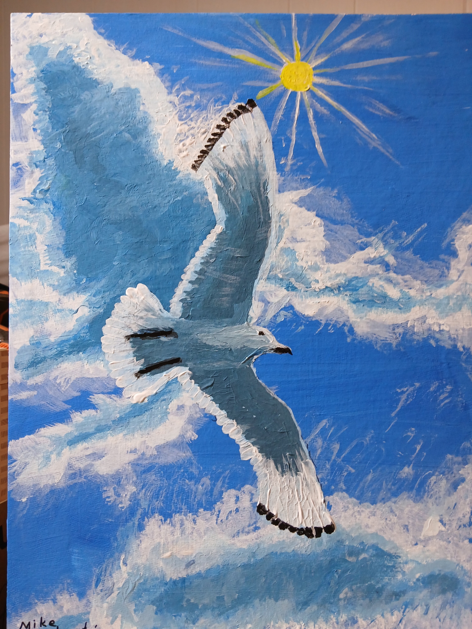 Sunny Gull by Mike R Murehead